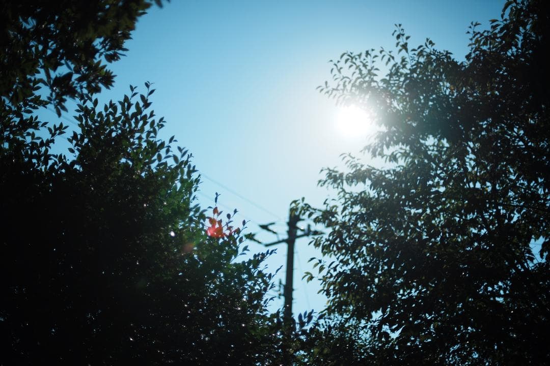 【整備＆テスト済】Nikon Ai Nikkor 50mm F1.4 247