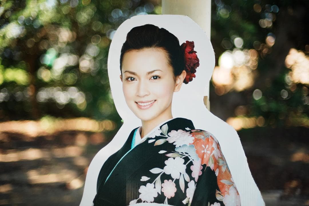 【整備＆テスト済】Nikon Ai Nikkor 50mm F1.4 247