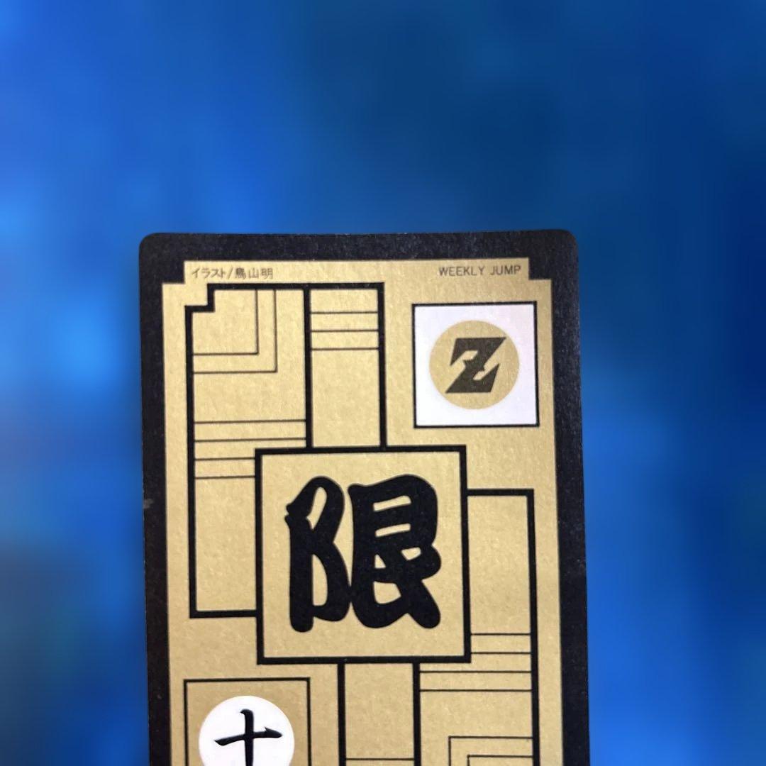 ドラゴンボール　カードダス めちゃんこプロジェクト　Ⅹ 孫悟飯