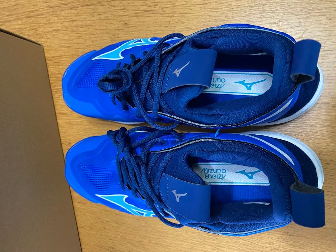 Mizuno Wave Momentum 3 バレーボールシューズ 27.0