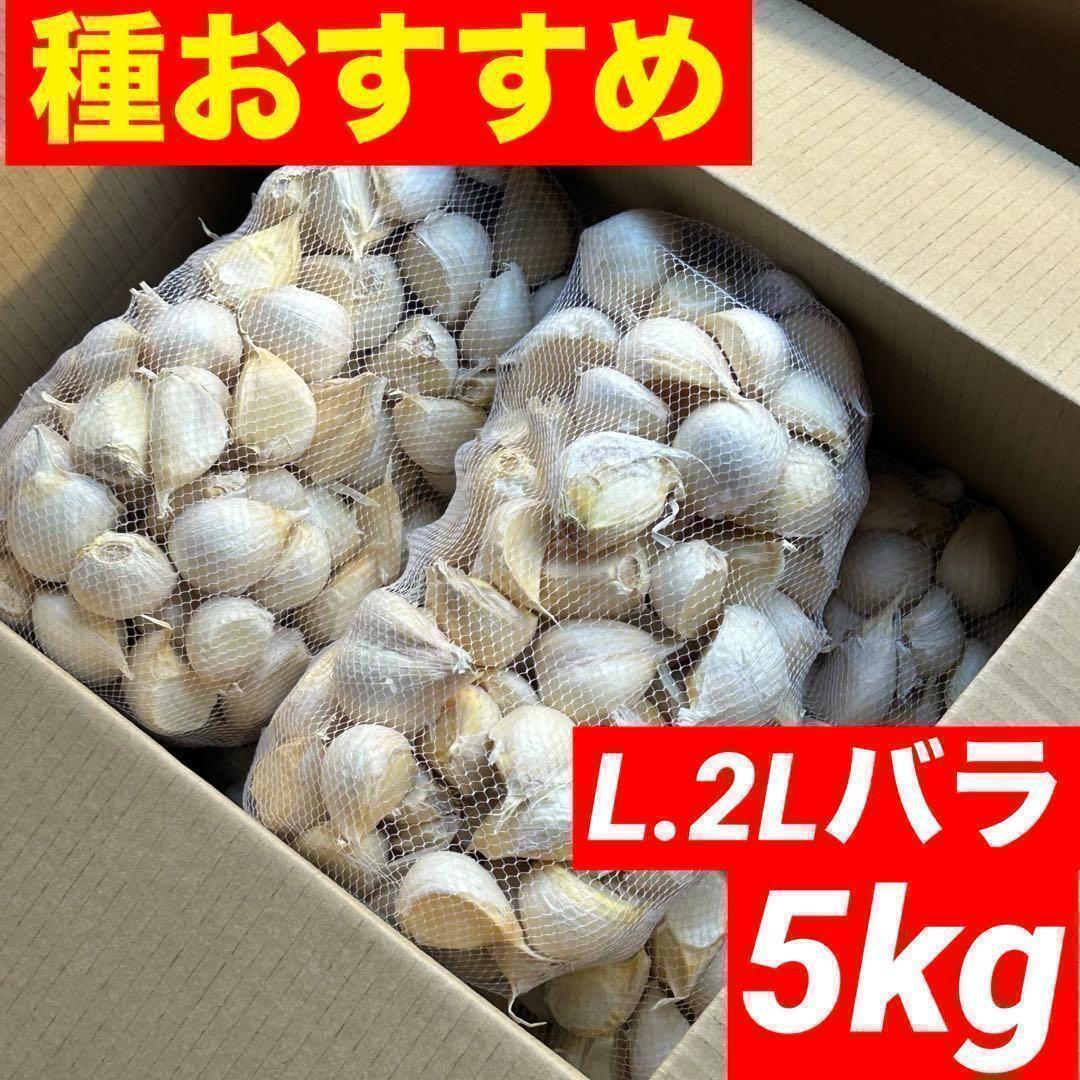 【スーパーセール】新物 青森県産 にんにく L.2Lバラ 5kg 福地ホワイト