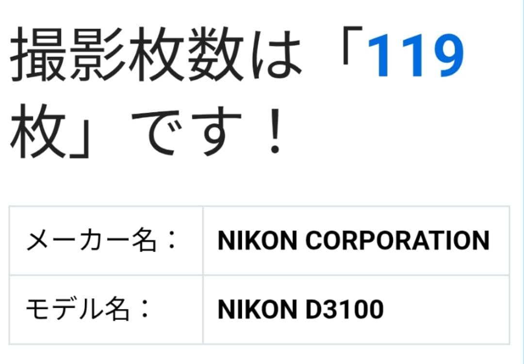 ⭐️ショット数119回⭐️Nikon D3100 ダブルズーム 初心者向け 美品
