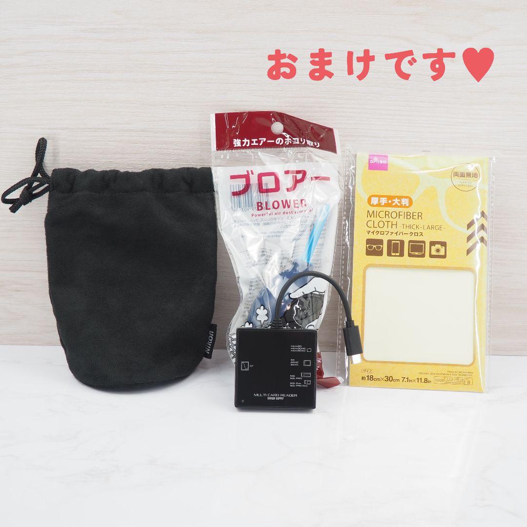⭐️ショット数119回⭐️Nikon D3100 ダブルズーム 初心者向け 美品
