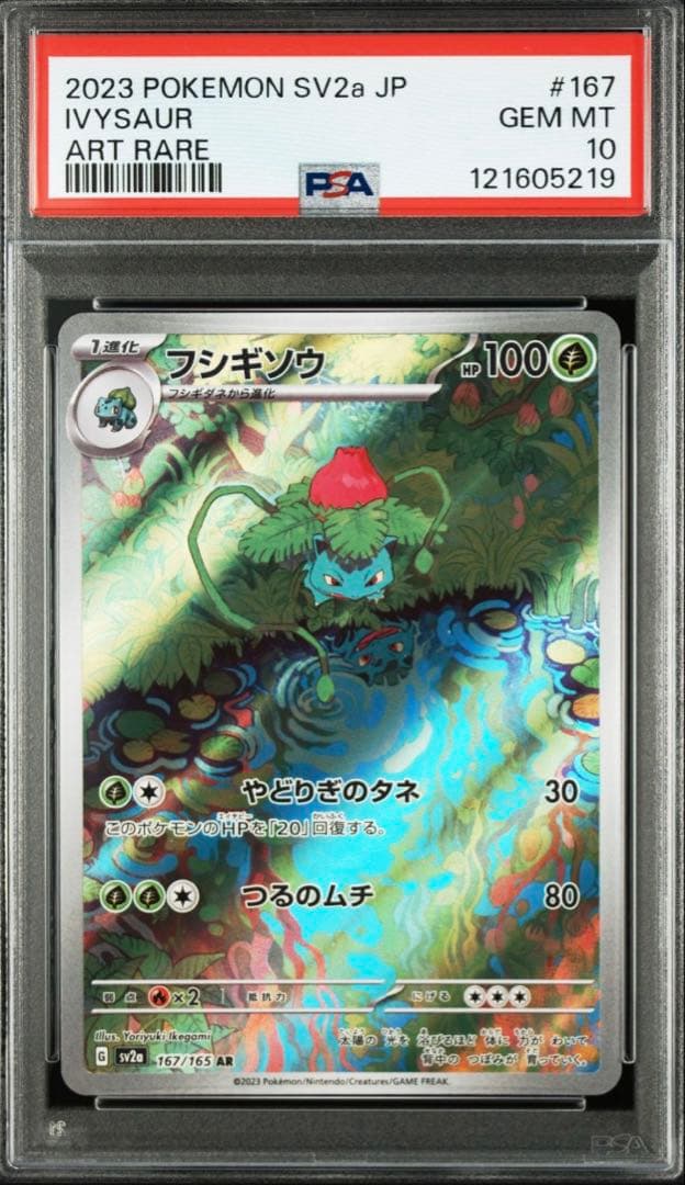 【PSA10 3連番】フシギダネ フシギソウ　フシギバナ進化ライン 151