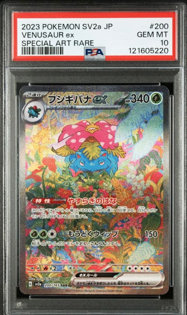 【PSA10 3連番】フシギダネ フシギソウ　フシギバナ進化ライン 151