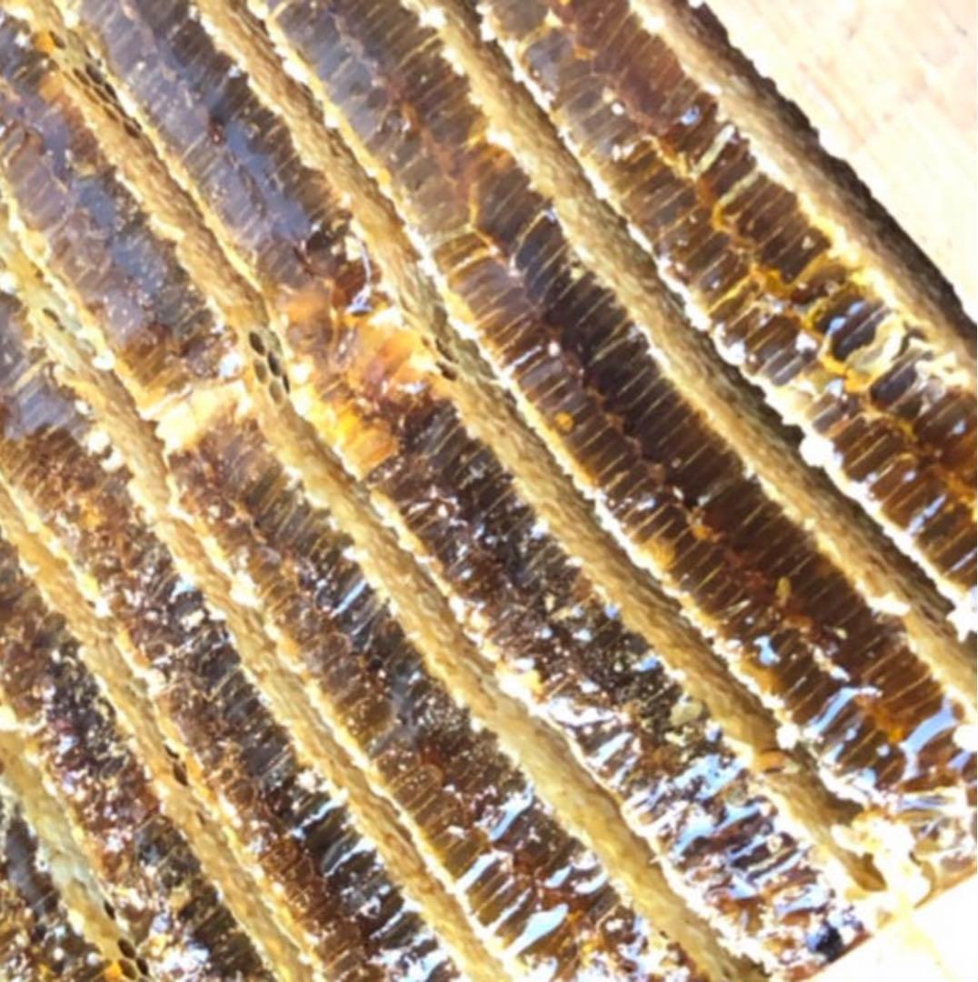 日本ミツバチ純粋垂蜜　440g6個