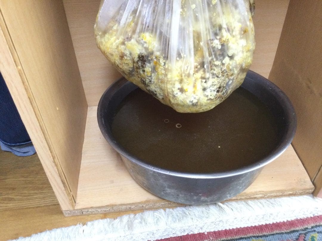 日本ミツバチ純粋垂蜜　440g6個