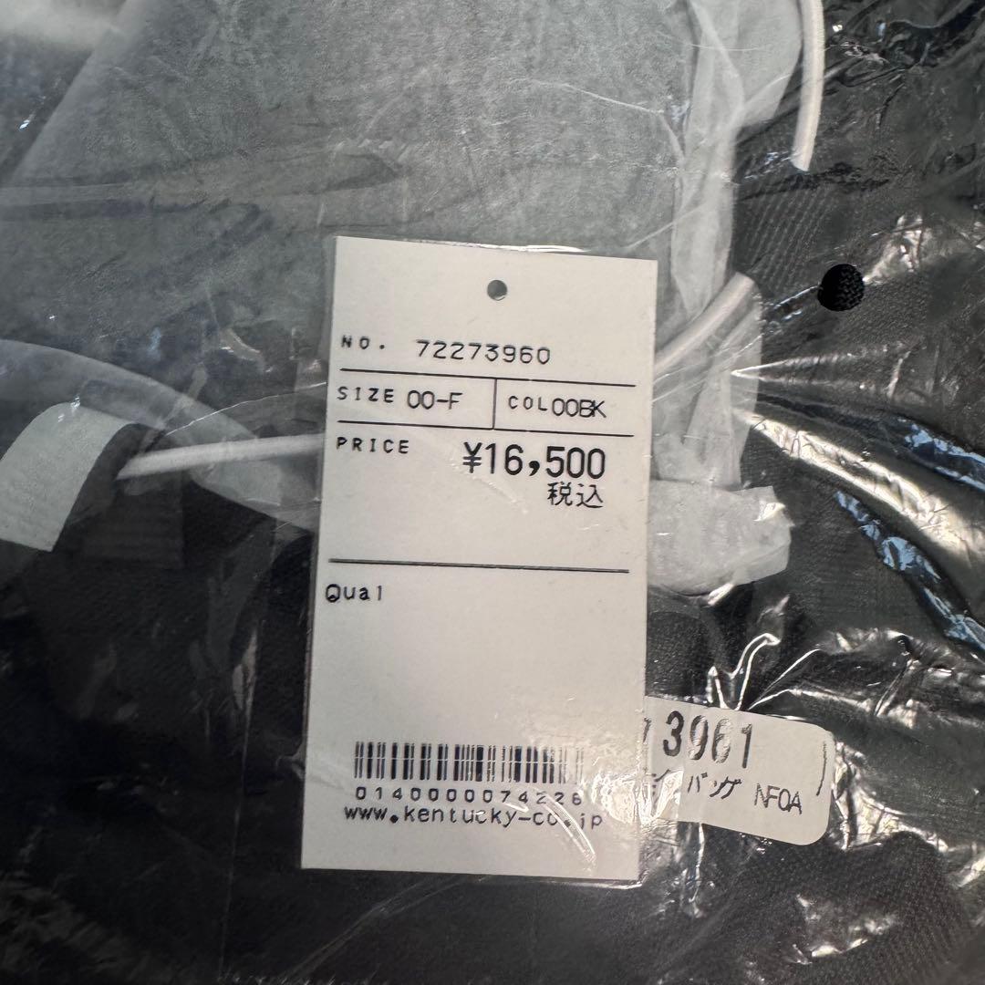 新品 ノースフェイス リュック