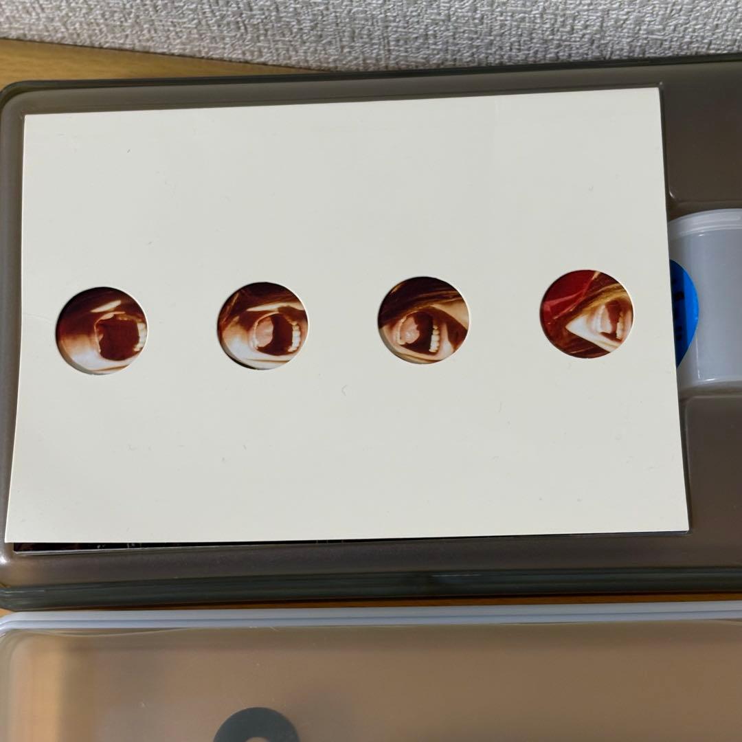 Lomography Supersampler スーパーサンプラー トイカメラ