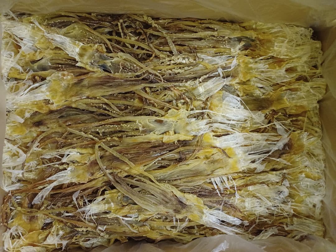 期間限定再開　『国産無添加食品』【大好評前浜するめ足:3kg 】