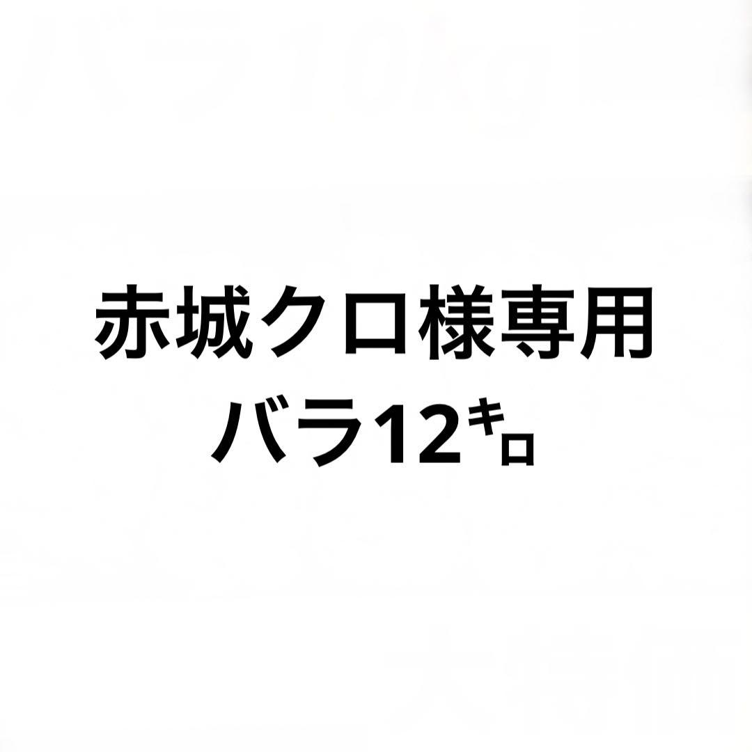 【専用ページ】新物 青森県産 にんにく バラ 12kg 福地ホワイト 加工 激安