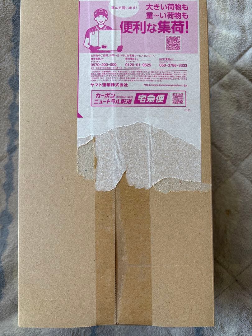 【匿名発送】未開封　ポケモンカードゲーム スペシャルBOX　トウホク 最安値