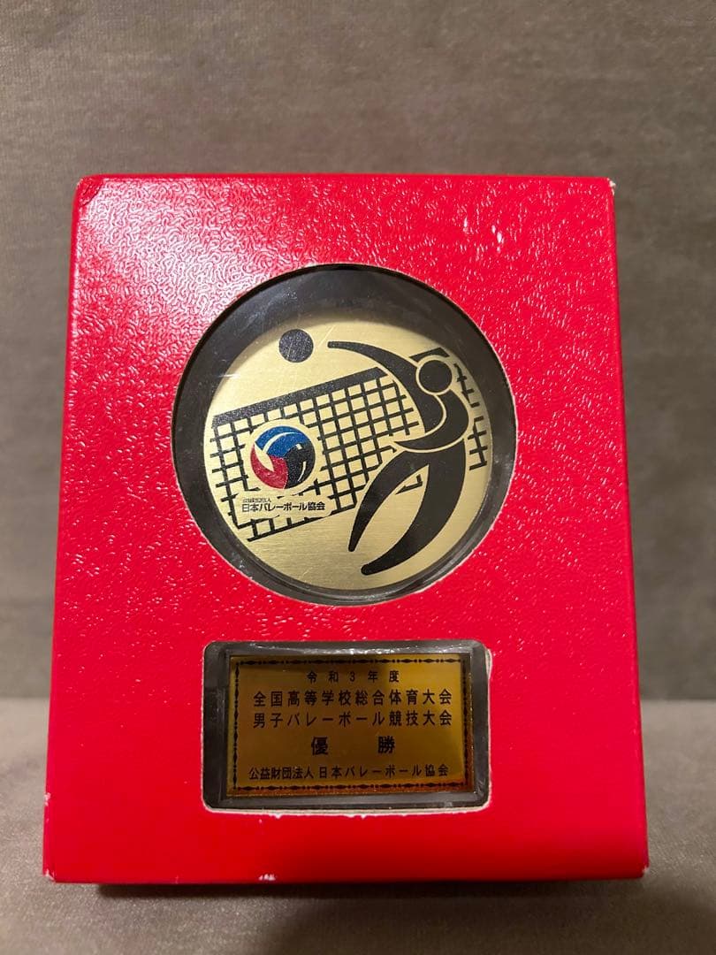 (鎮西高校)バレーボール インターハイ優勝記念たて