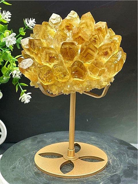 2点まとめて専用ページ