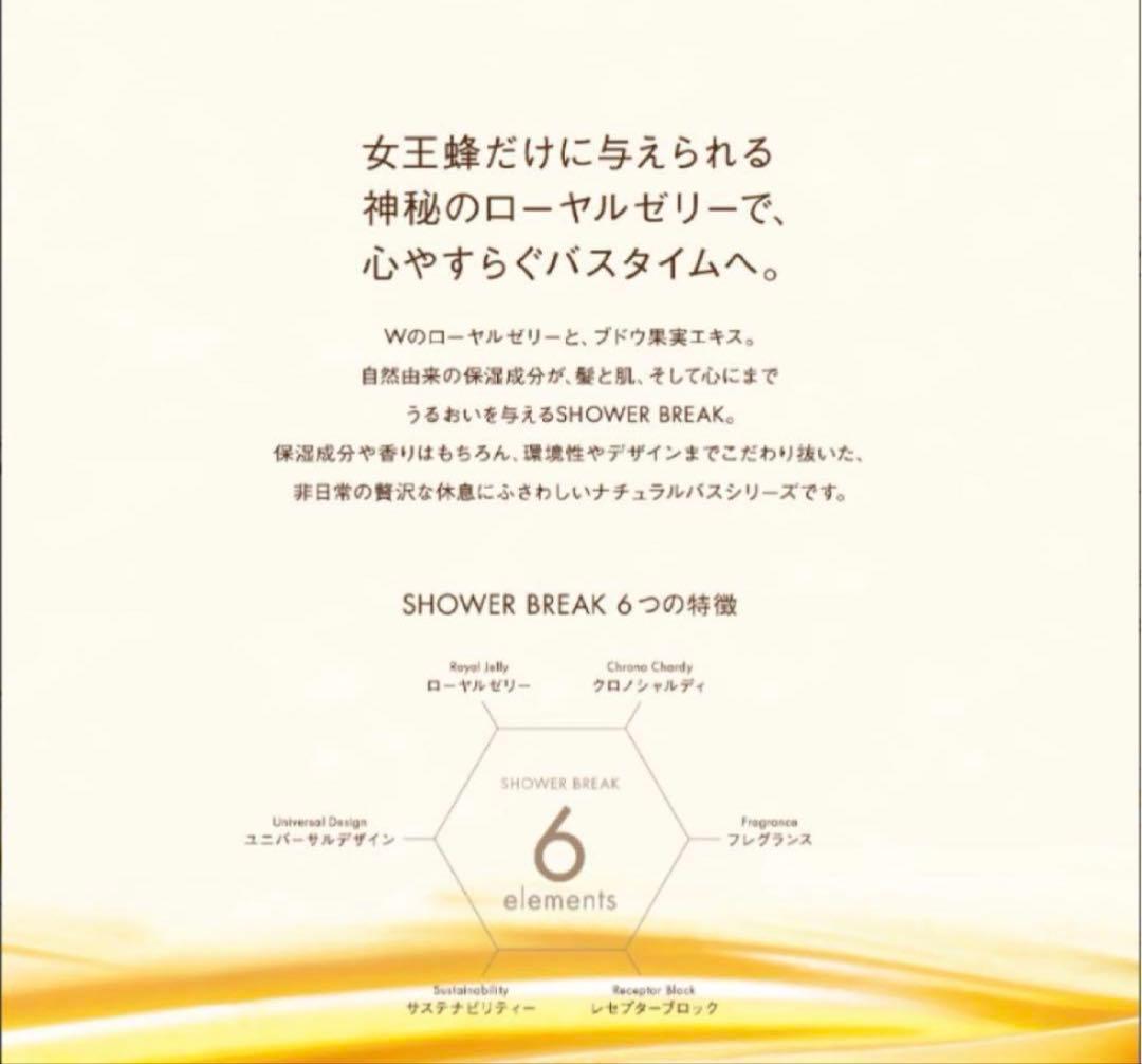 【新品】POLA シャワーブレイク シャンプー10L　ポーラ 10L