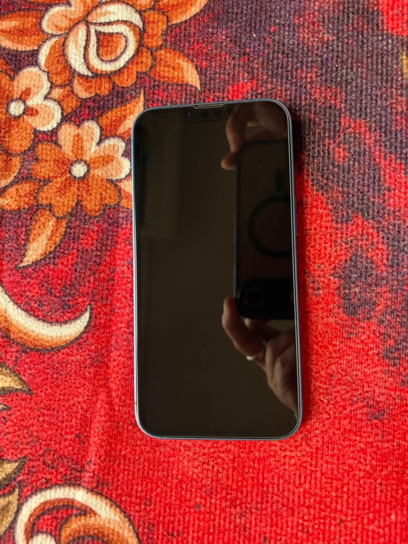 ◎美品◎ iPhone 13本体256GB ブルー