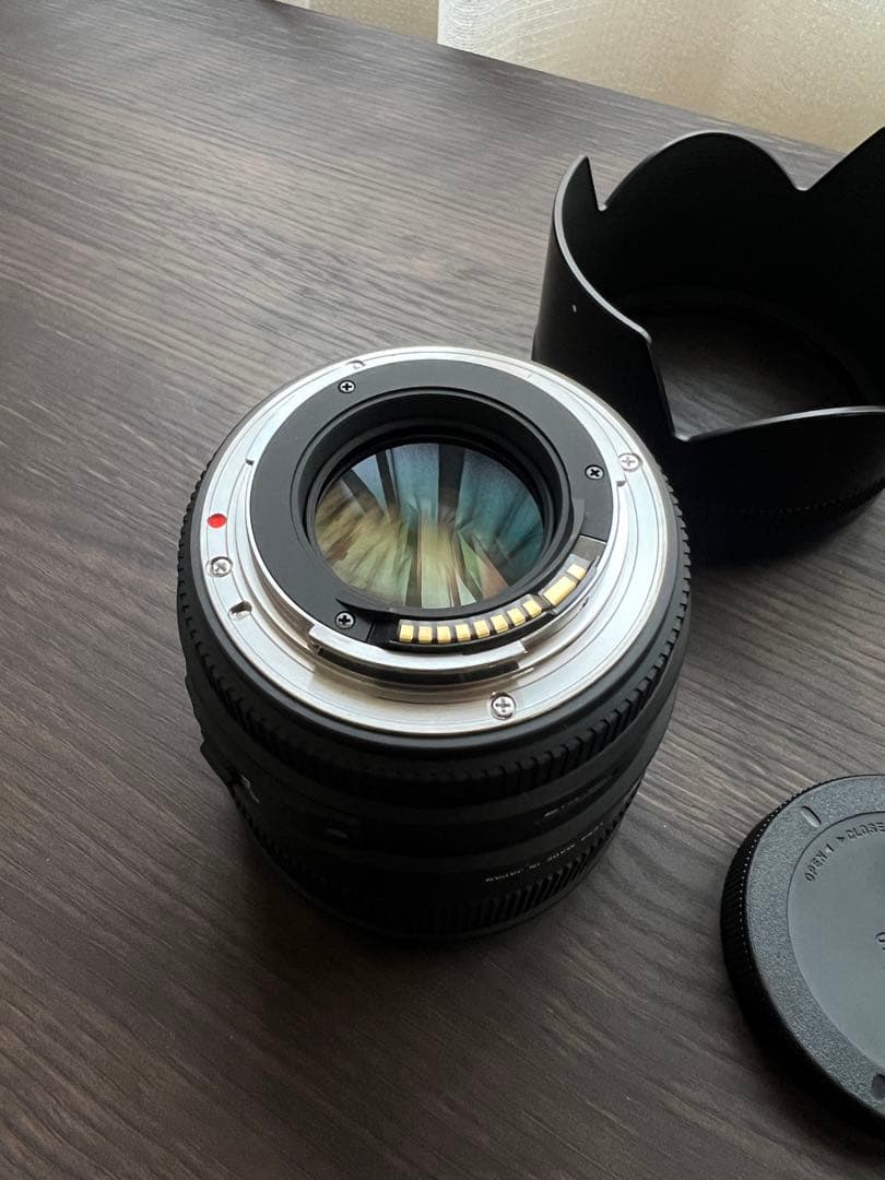 Sigma EX 85mm 1:1.4 DG HSM単焦点レンズ + Pro1D