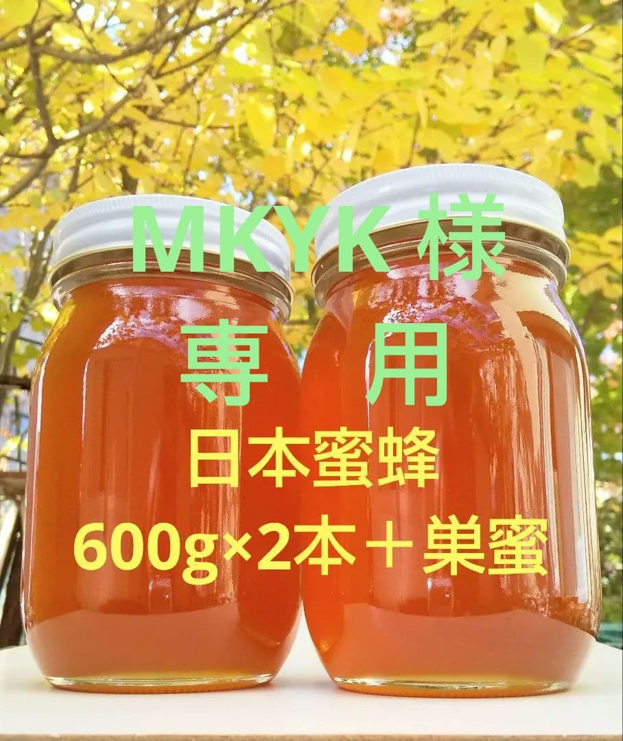 日本みつばち採りたて(生巣蜜)421g＋蜂蜜600g×2本宮城県産