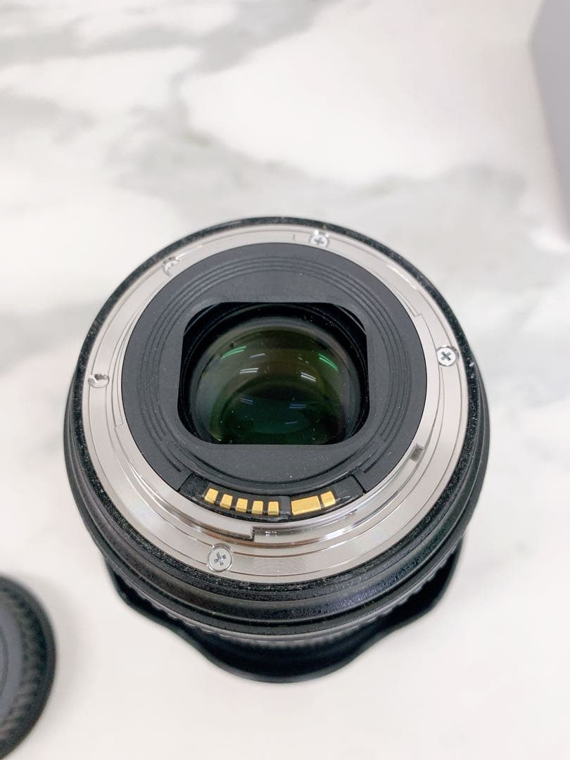 ＊Canon EF 24-105mm f/4L IS II USM ズームレンズ