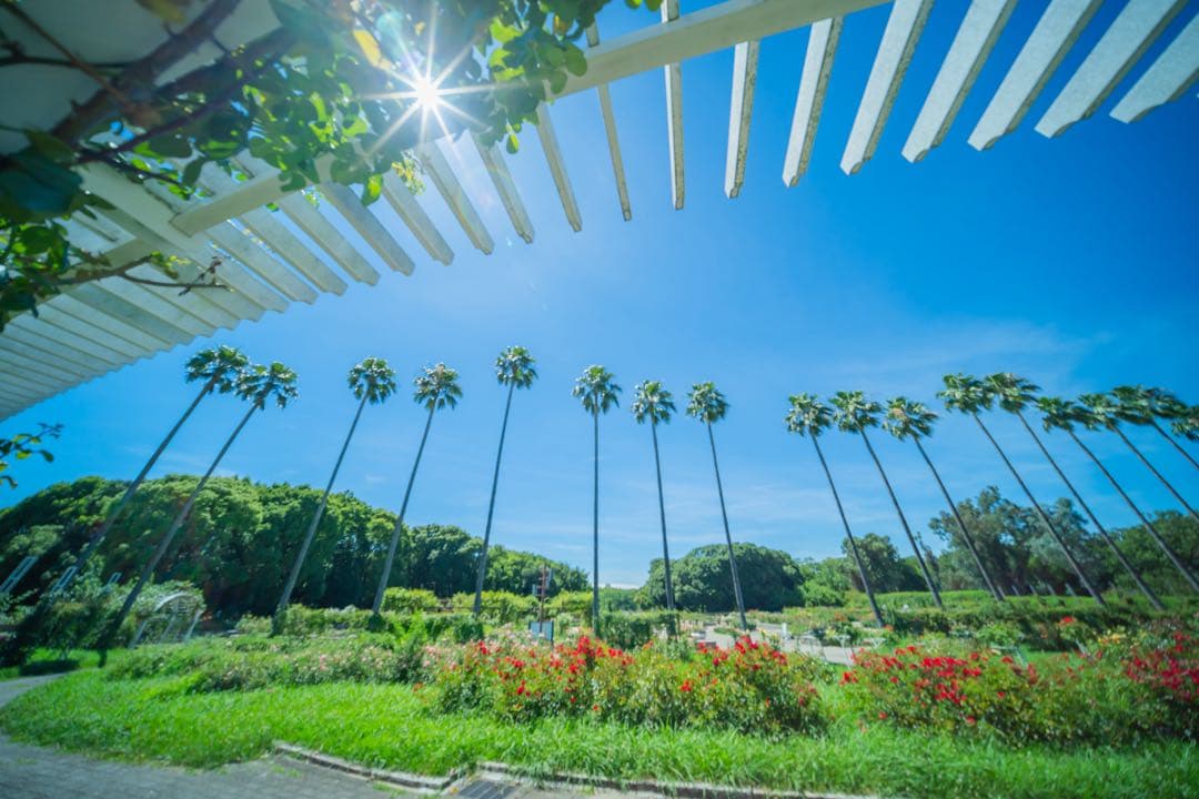 LAOWA D-Dreamer 12mm F2.8 Zero-D ソニー用