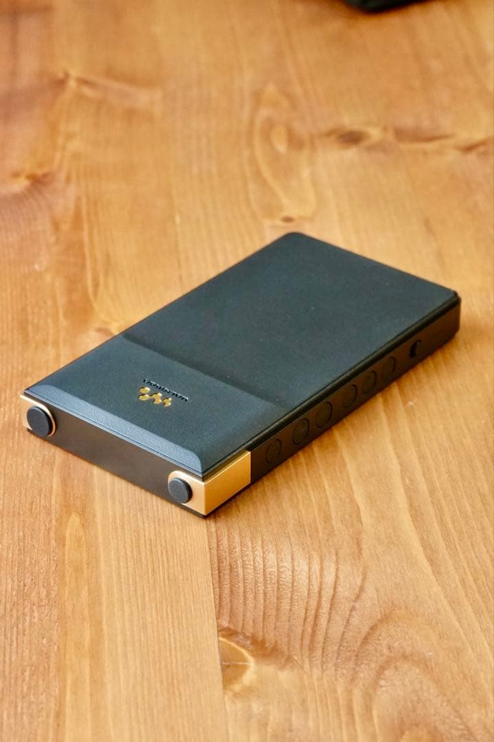 【SONY WALKMAN】NW-ZX707 C & 純正ケース　ウォークマン