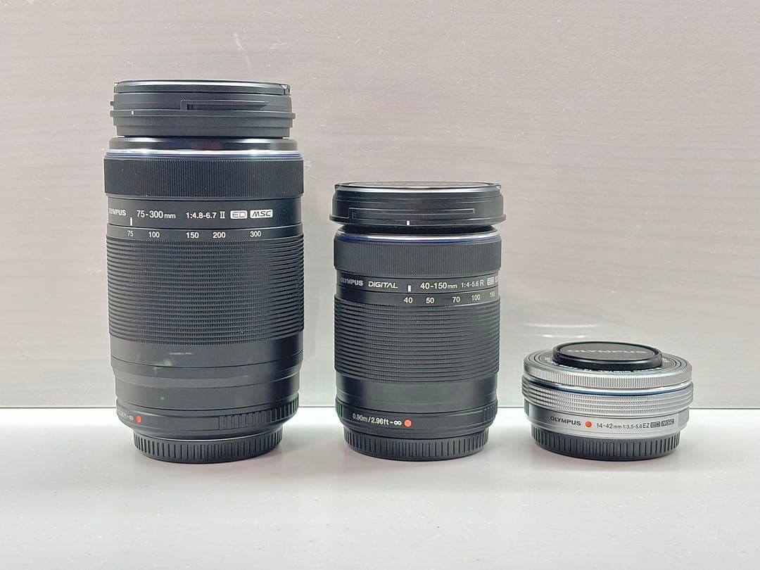 【レンズ3点】オリンパス E-M10MarkⅡ Wズーム＋75-300mmセット