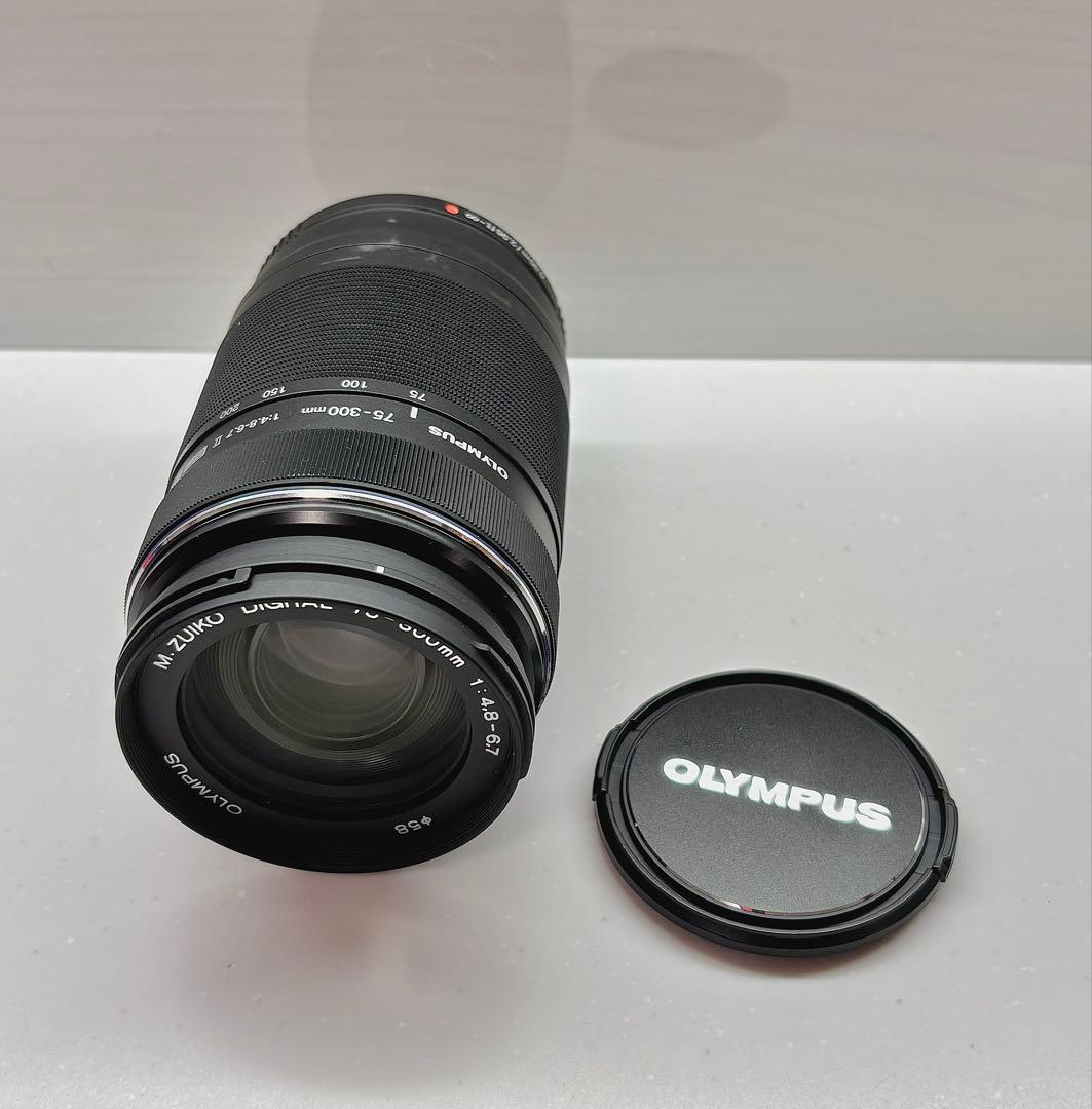 【レンズ3点】オリンパス E-M10MarkⅡ Wズーム＋75-300mmセット