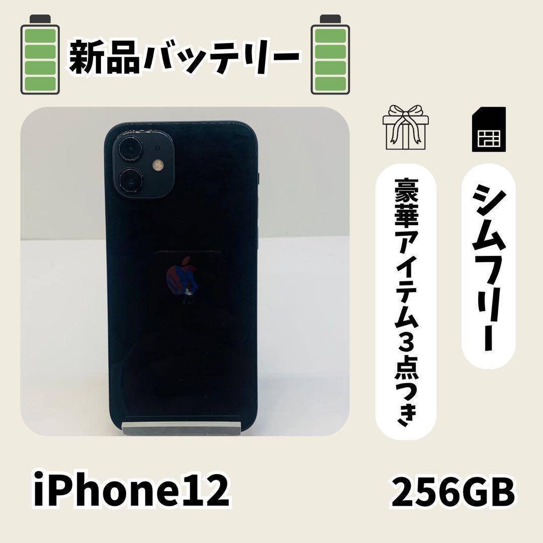 ☘️大感謝祭☘️ iPhone 12 256GB ブラック SIMフリー 本体