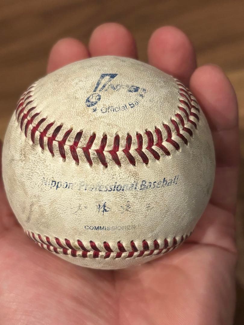 Rawlings 硬式野球グローブ 右投げ 黒/緑 内野用