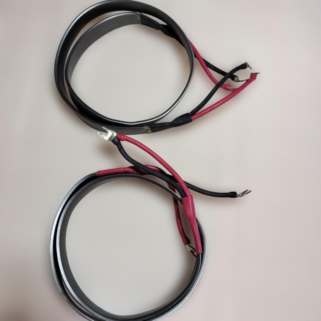 NASPEC WIREWORLD Equinox EQS5²スピーカーケーブル
