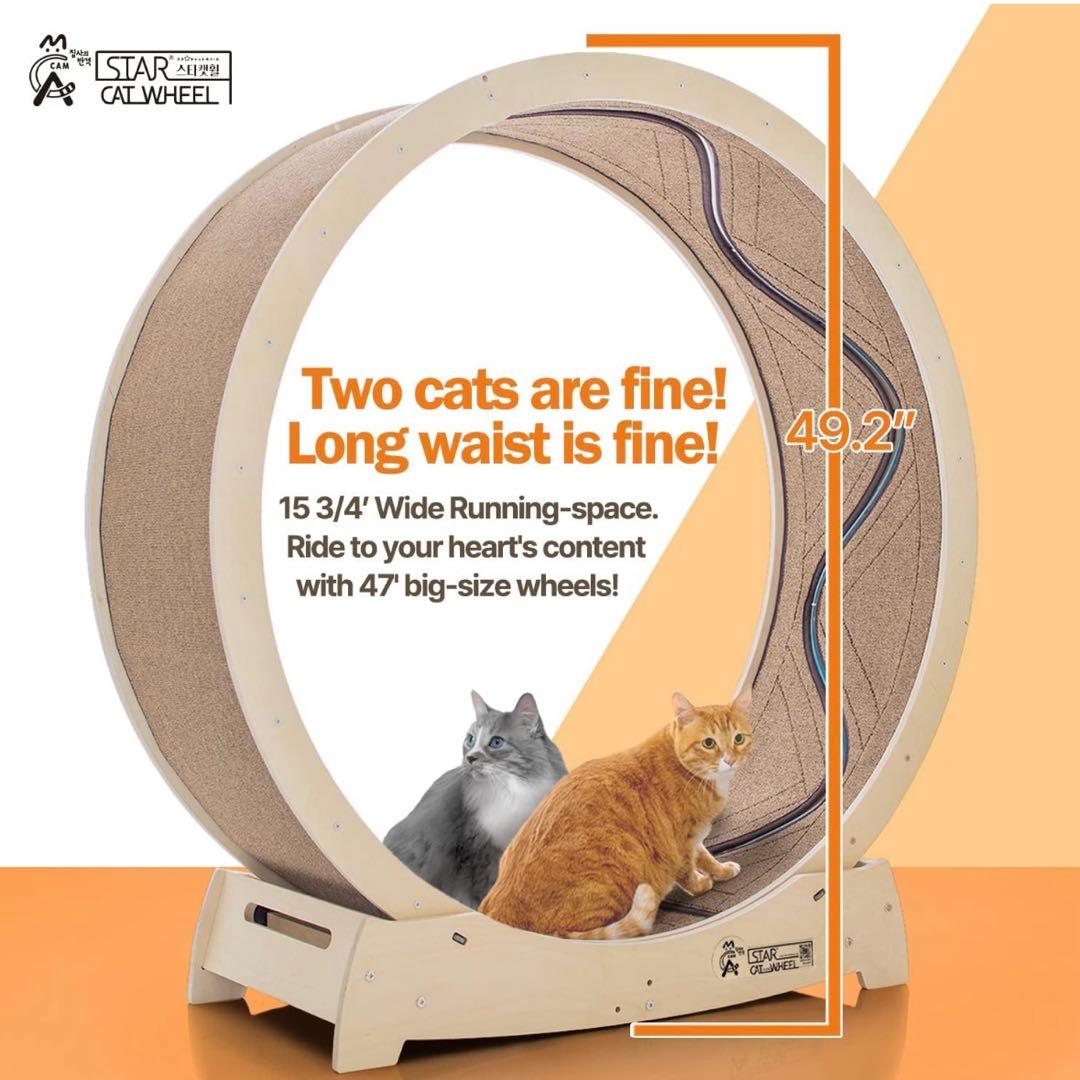 M*E様 STAR CATWHEEL キャットホイール Lサイズ