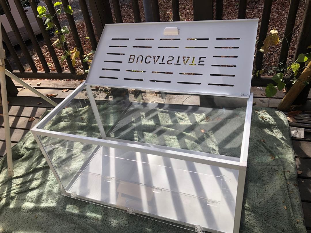 ⭐︎Coroページ⭐︎