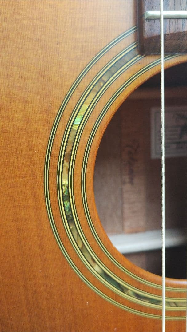 パンダ様 ご予約 専用 Takamine NPT-05N 長渕剛 ライブ愛用機