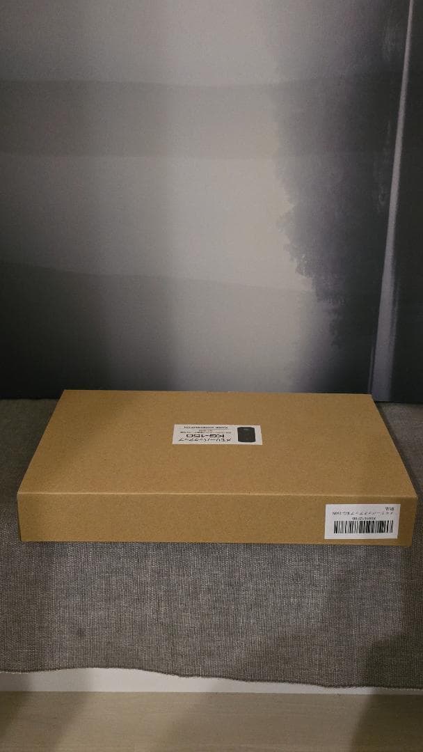 カイセ(Kaise)KG-150Nメモリバックアップ[新品●未使用]