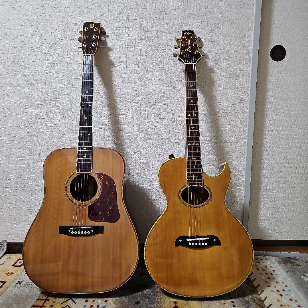 Aria.Elecod.FE-S80エレアコ珍品。