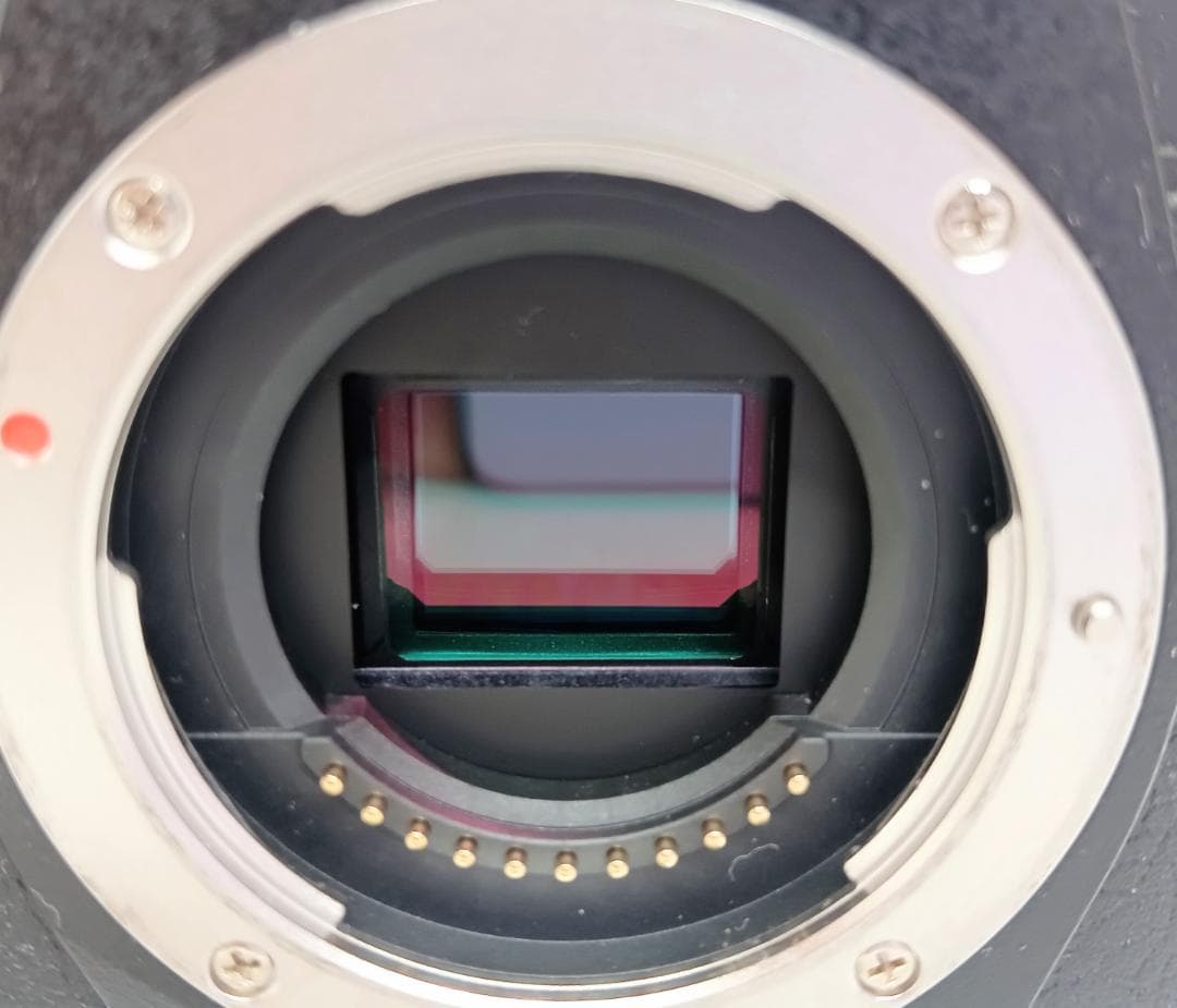 OLYMPUS OM-D E-M10 MarkIII ミラーレスカメ SD付き