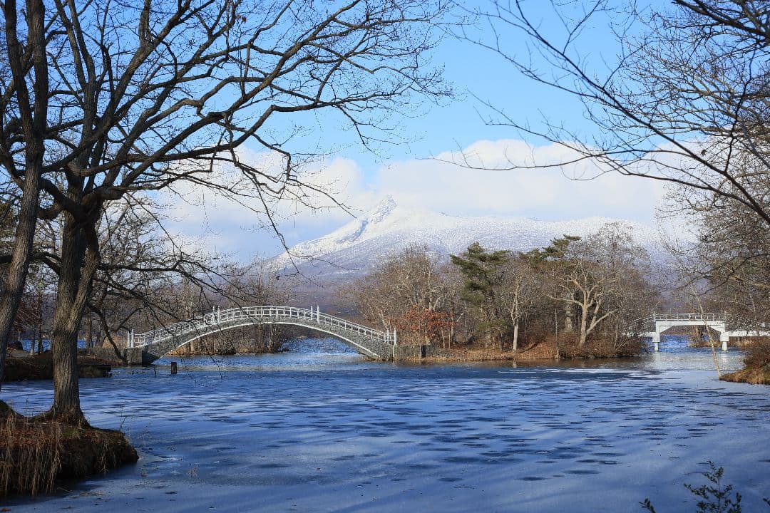 Super-Takumar 55mm F1.8 後期型 S/N：2558530
