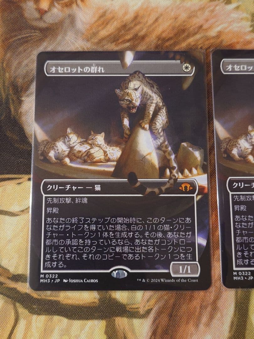 オセロットの群れ　ボーダーレス　2枚セット　日