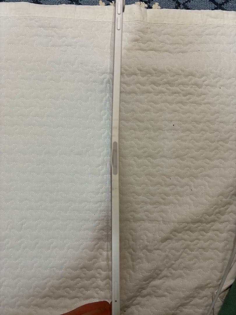 iPad Pro 12.9インチ Wi-fi + Cellular 256GB