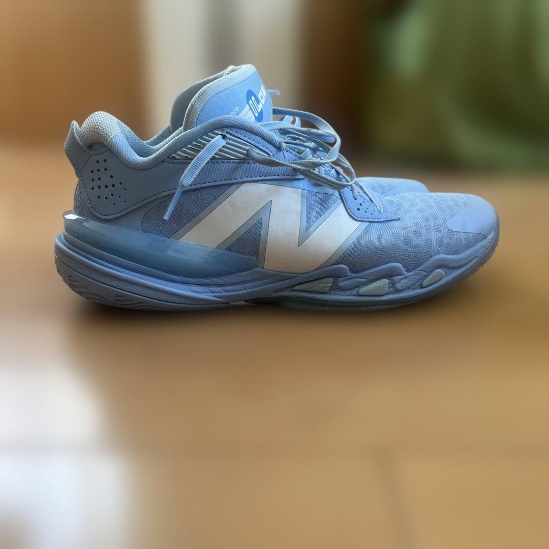 シューズ(男性用) hesi low v2