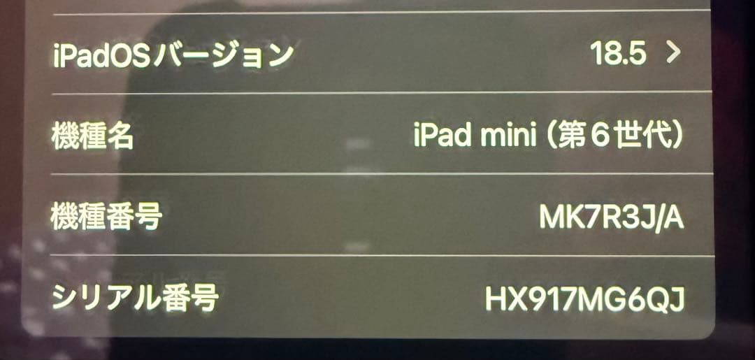モ*音様 Apple iPad mini 第6世代 Wi-Fiモデル 64GB
