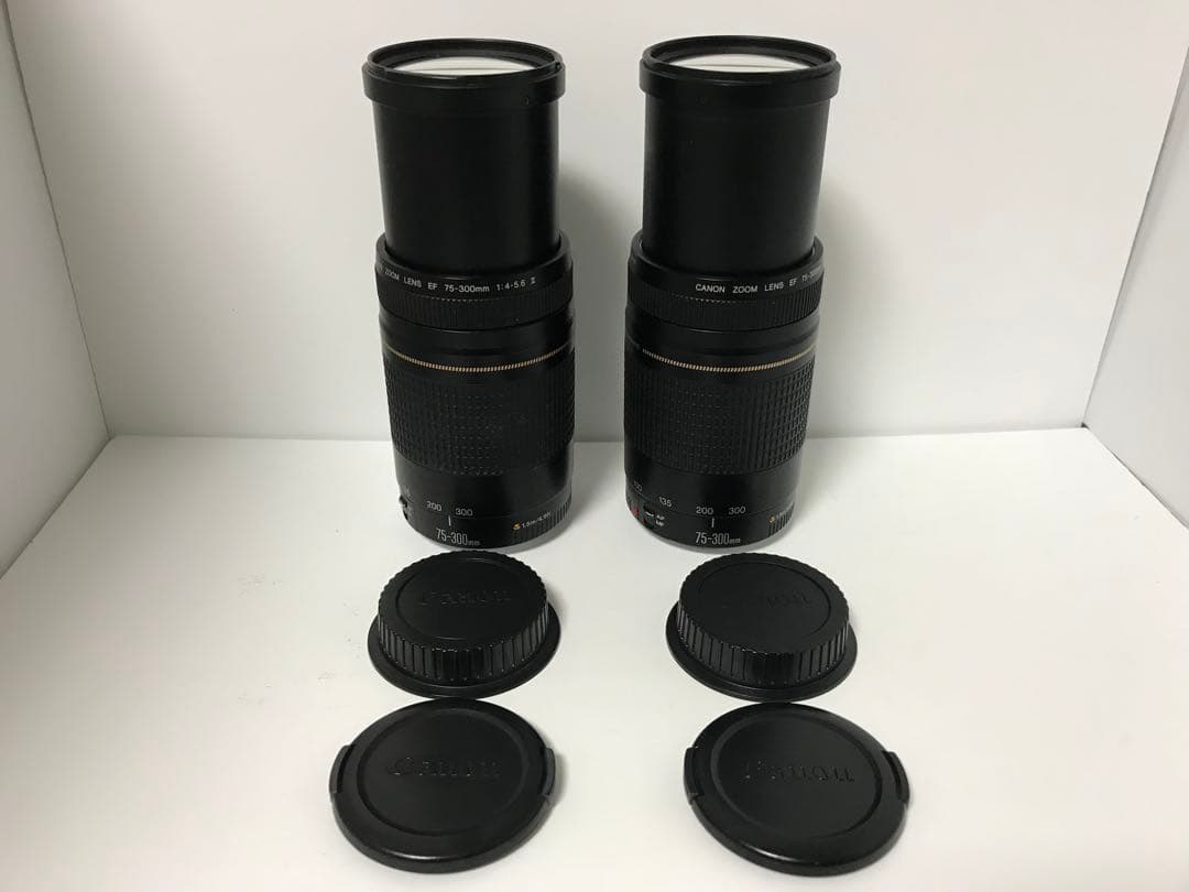 （2セット）望遠レンズ/キヤノン/Canon EF75-300㎜
