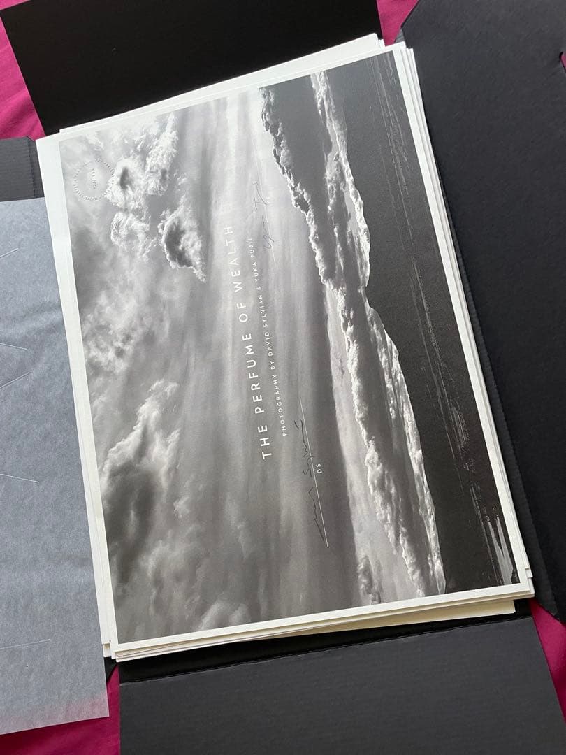 David Sylvian The Perfume of Wealth　サイン付