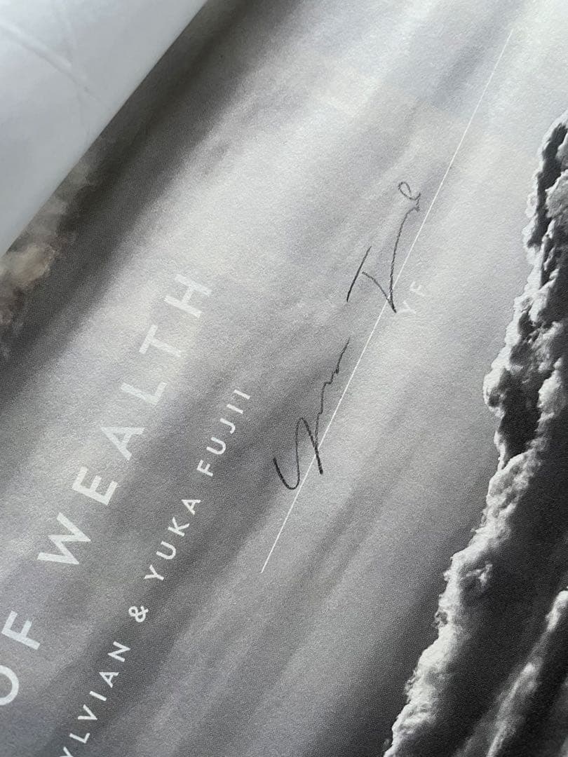 David Sylvian The Perfume of Wealth　サイン付