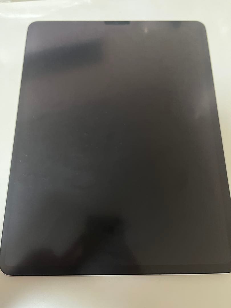 Apple iPad Pro 256GB 箱無し