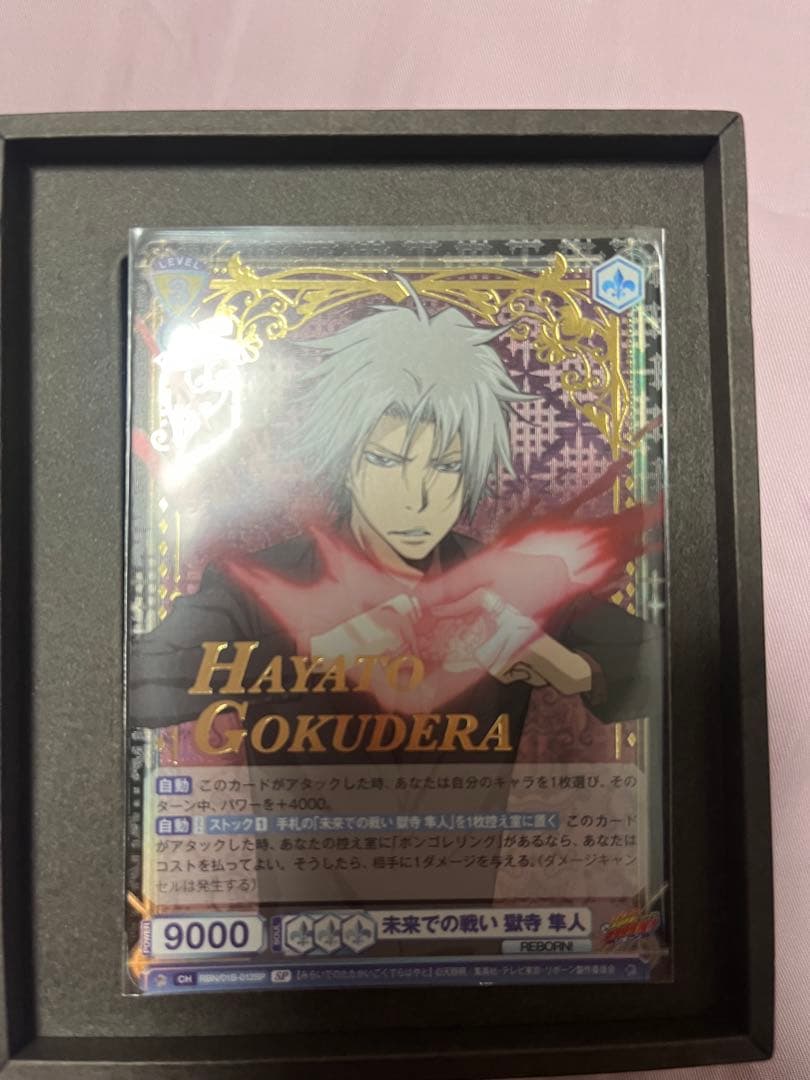 ヴァイスシュヴァルツブラウ/SP/獄寺　家庭教師ヒットマンREBORN!