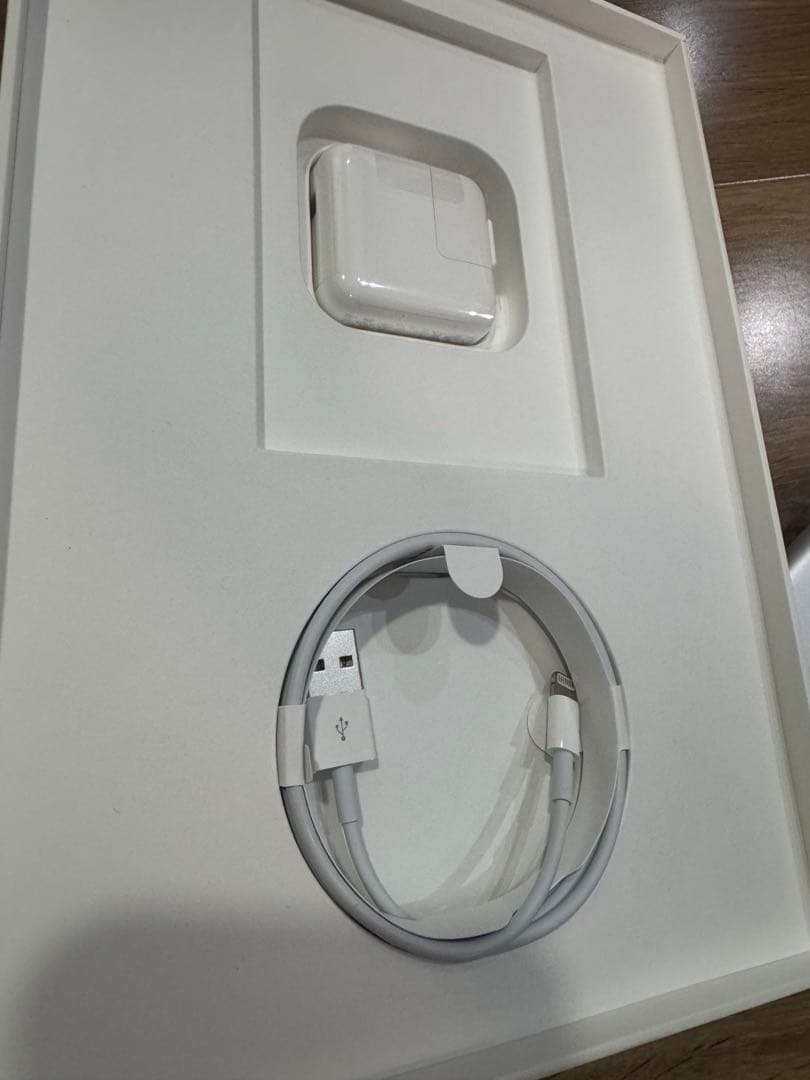 Apple iPad 第6世代 32GB おまけ付き