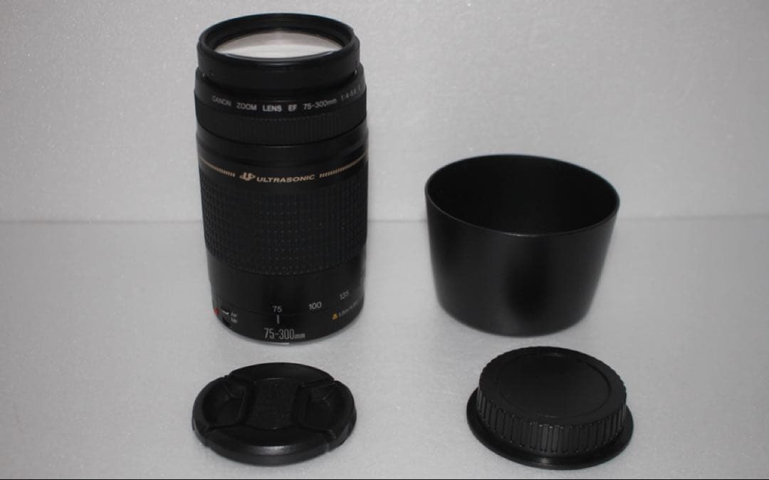 フード付き☆人気の望遠レンズ☆キヤノン Canon EF75-300㎜