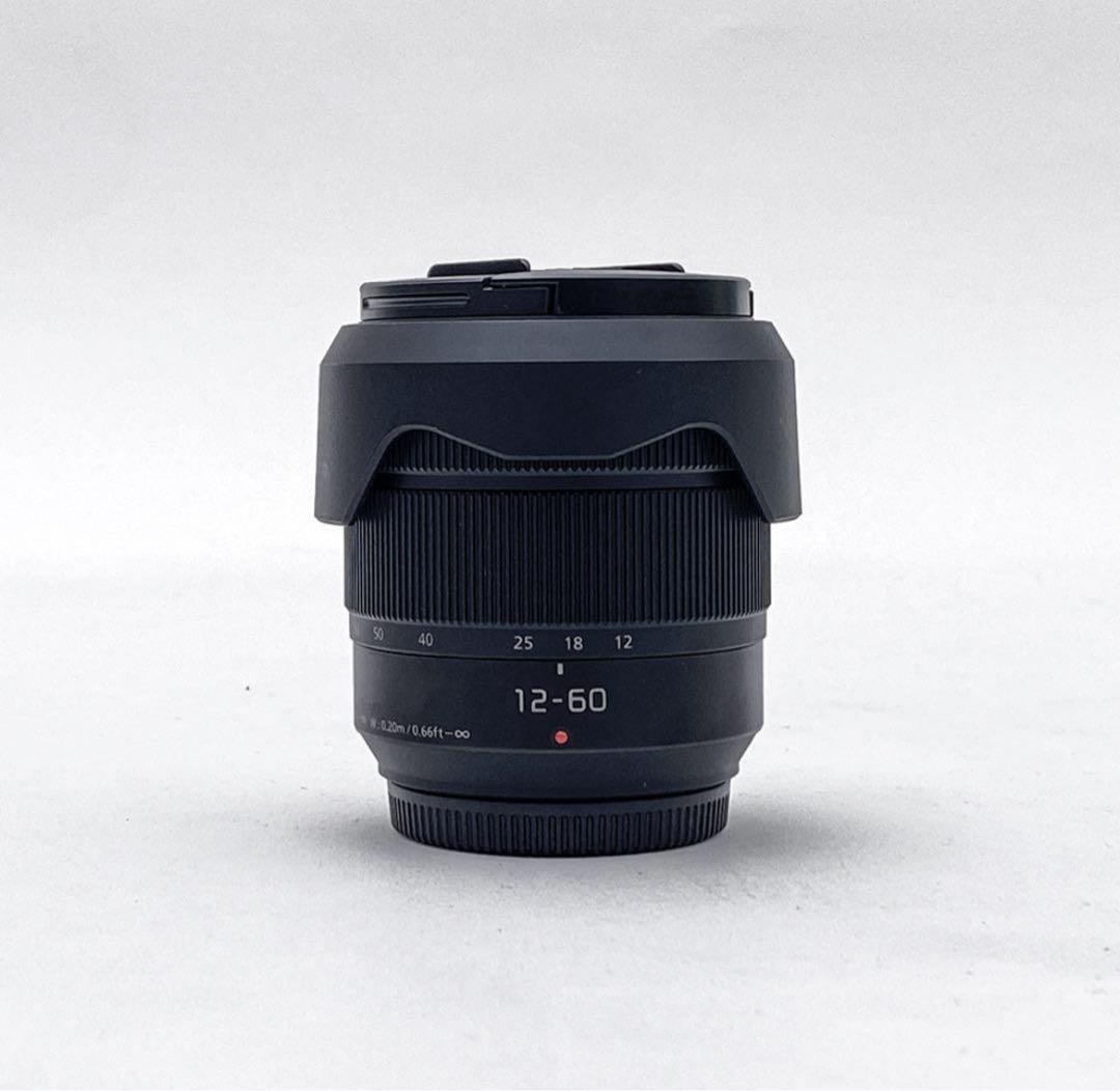 【並品】Panasonic パナソニック DC-GH5 レンズ付き