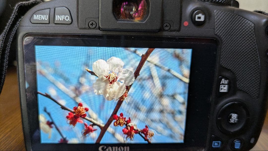 Canon EOS Kiss X7 デジタル一眼レフカメラ
